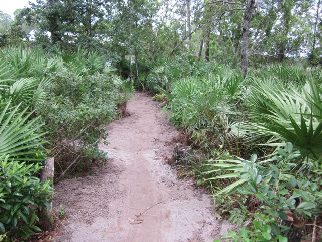 Looking toward the lake